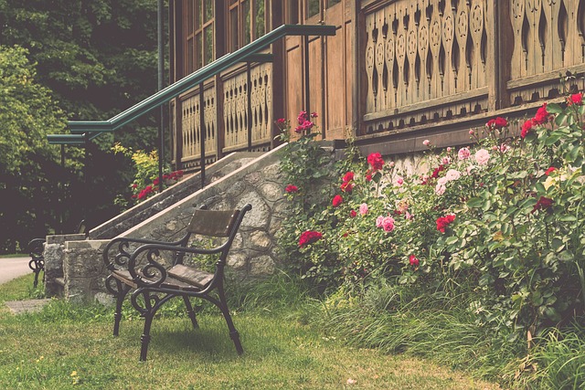 家可以凭一 家可以凭一