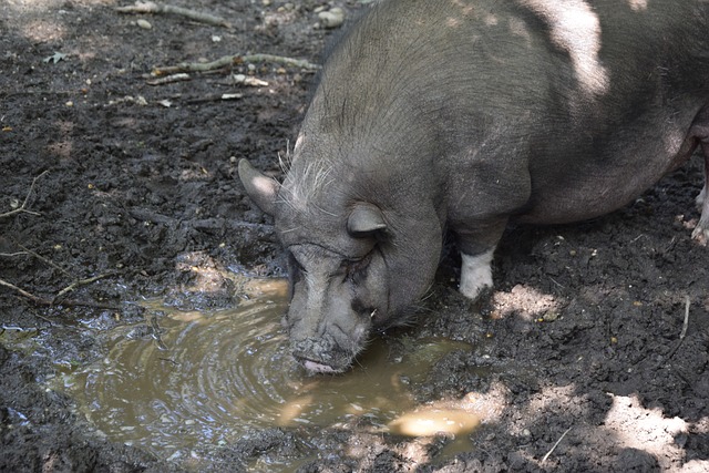 广州篮球还 广州篮球还