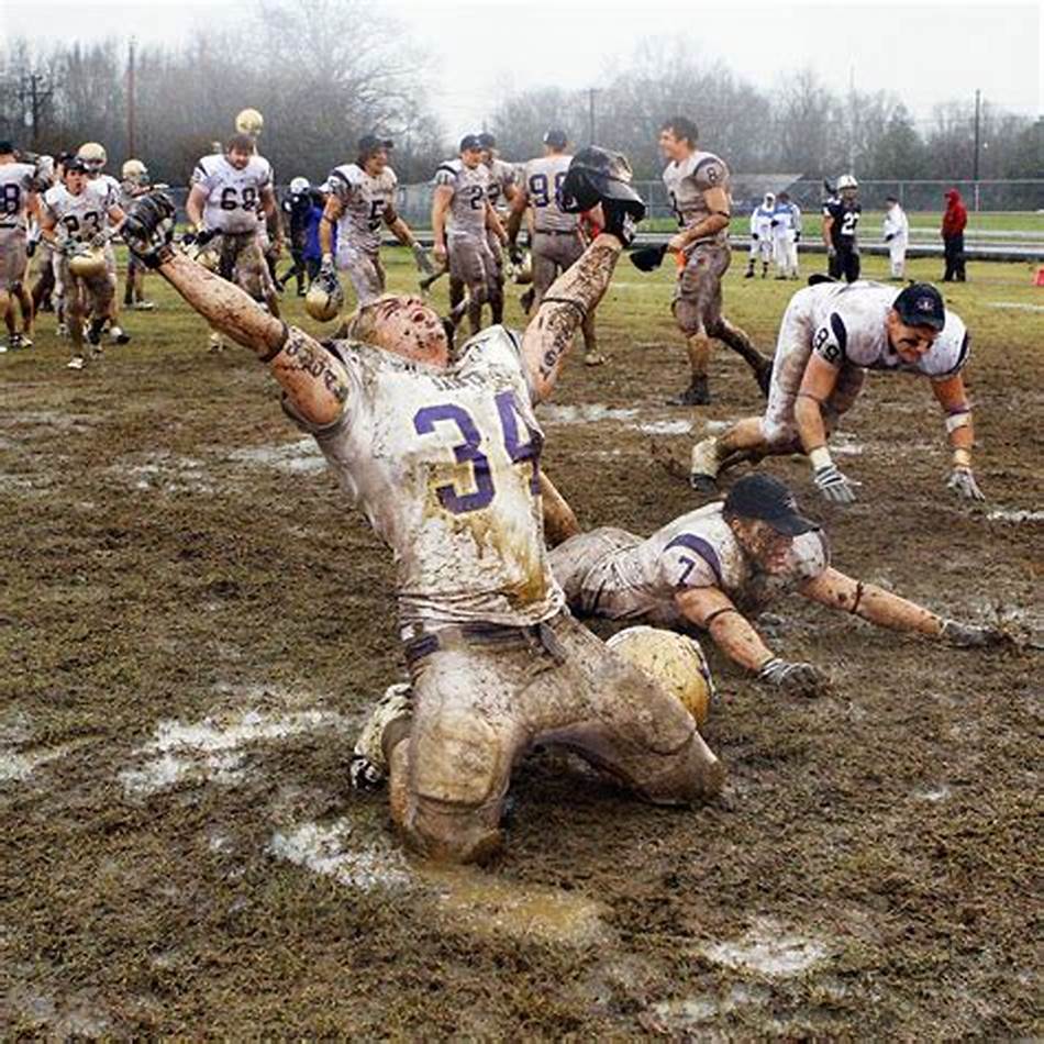 有借鉴意义 有借鉴意义