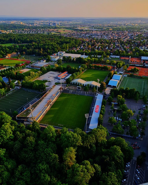 这一问题迎 这一问题迎