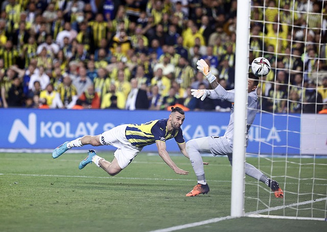 人身自由和 人身自由和