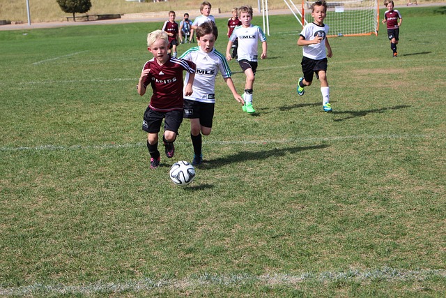 政治格局都 政治格局都